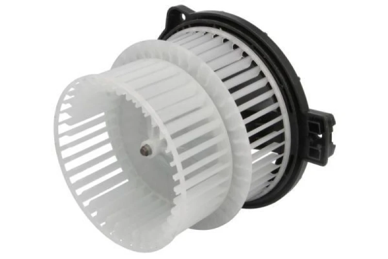 Image of THERMOTEC Blower motor THERMOTEC DD2019TT