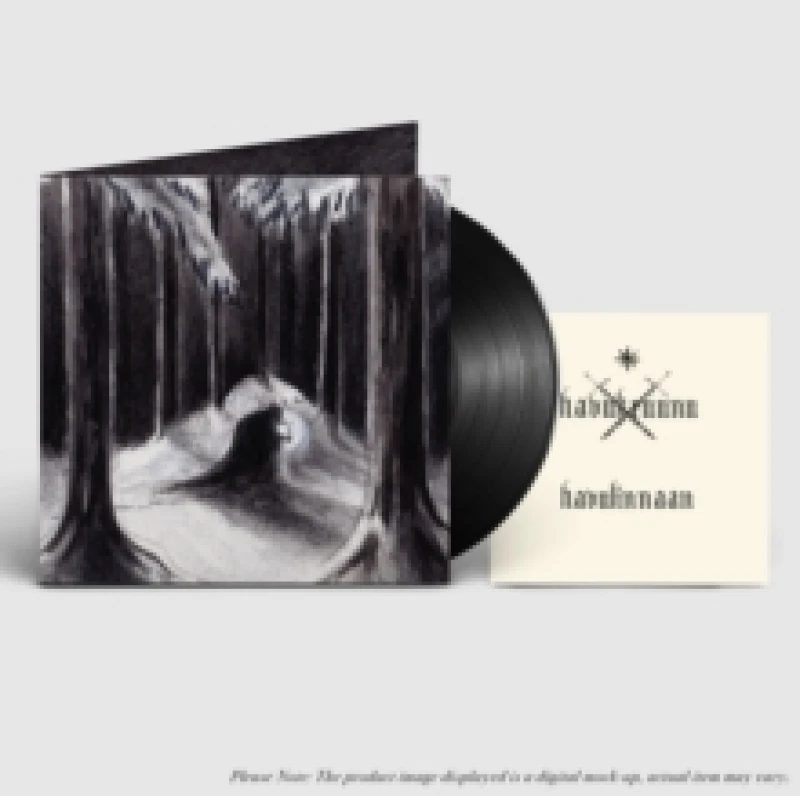Image of Havulinnaan Vinyl
