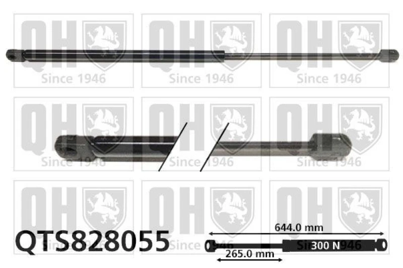 Image of QUINTON HAZELL Tailgate strut QUINTON HAZELL QTS828055