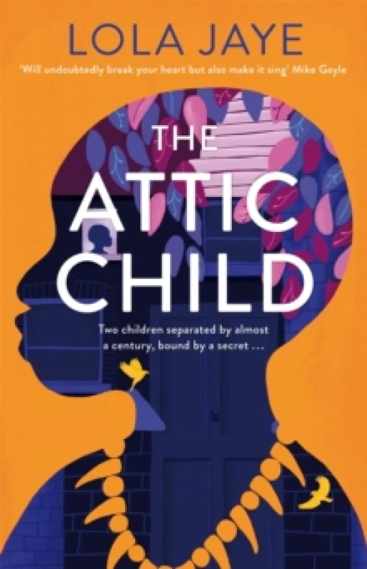 Image of The Attic Child Hardback