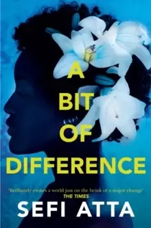 Image of A Bit of Difference