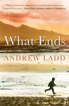 Image of What ends by Andrew Ladd