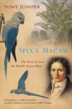 Image of Spixs Macaw by Tony Juniper