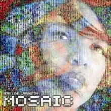 Image of The Mosaic Project