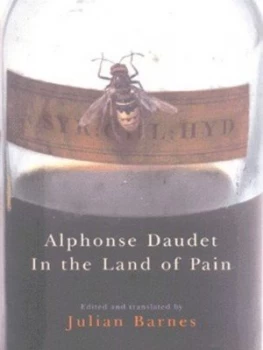 Image of In the Land of Pain by Alphonse Daudet Hardback