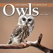Image of exploring the world of owls