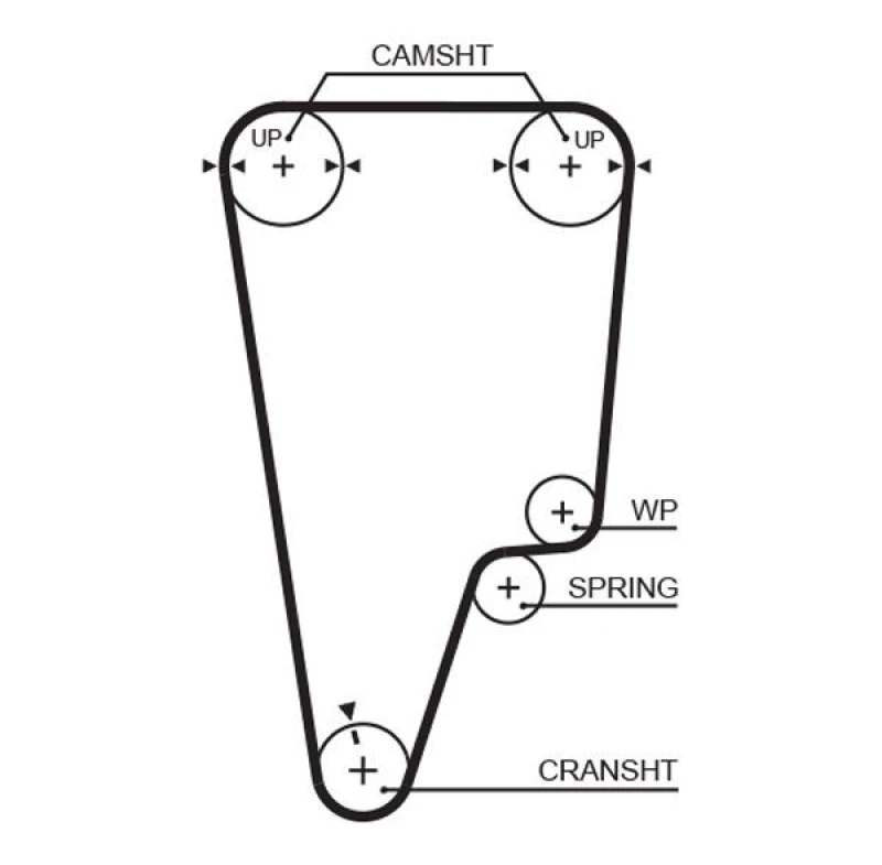 Image of GATES Timing Belt GATES 5505XS