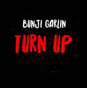 image of Turn Up by Bunji Garlin CD Album