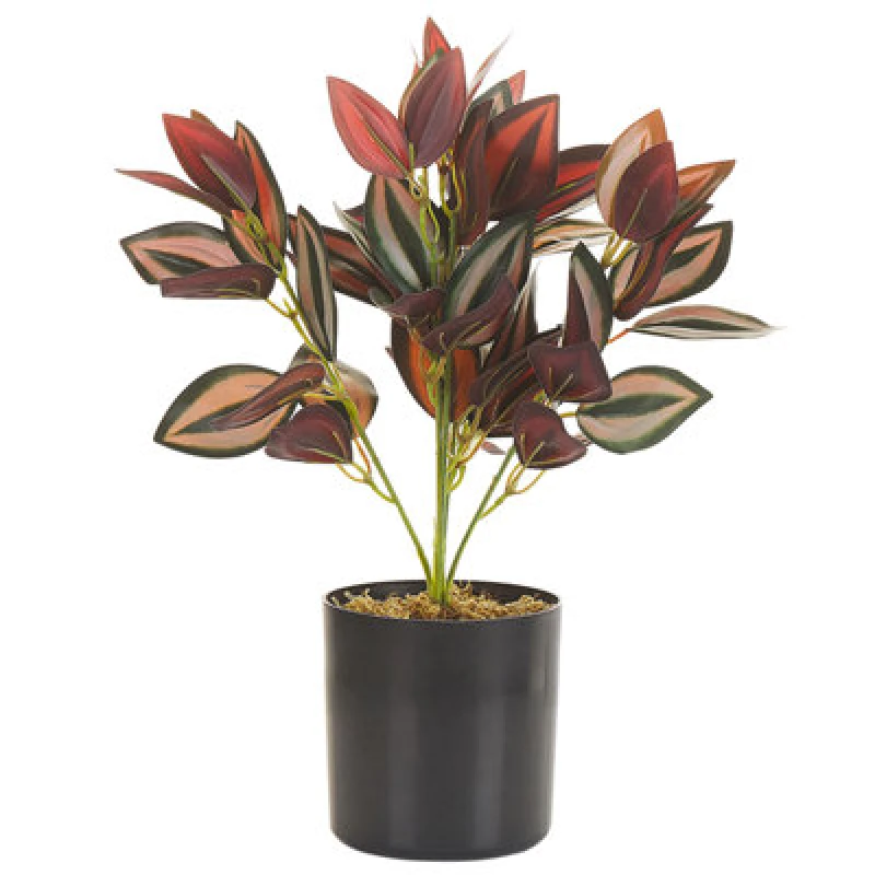 Image of Beliani Artificial Plant Tradescantia 35cm Red
