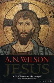 Image of Jesus by A. N Wilson Paperback