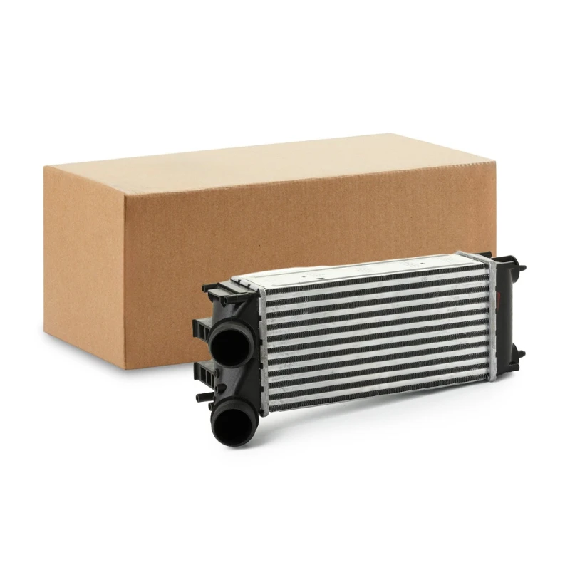 Image of RIDEX Intercooler RIDEX 468I0305