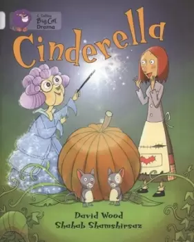 Image of Cinderella by David Wood