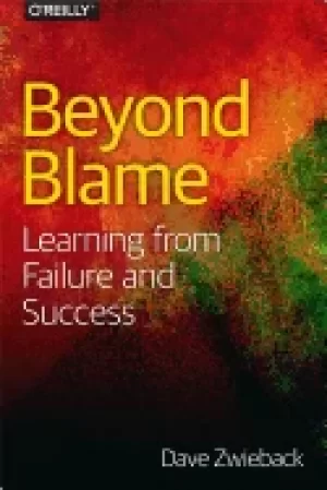 Image of beyond blame learning from failure and success