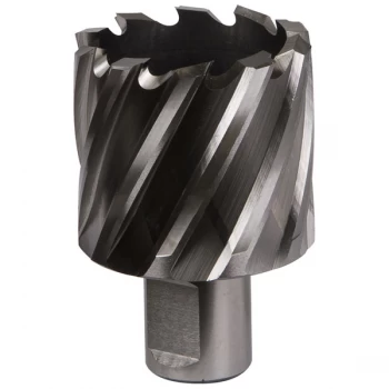 Image of Worksafe RBHSS42S Rotabor Cutter HSS Ø42mm - Cut Depth 25mm