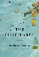 Image of disappeared stories