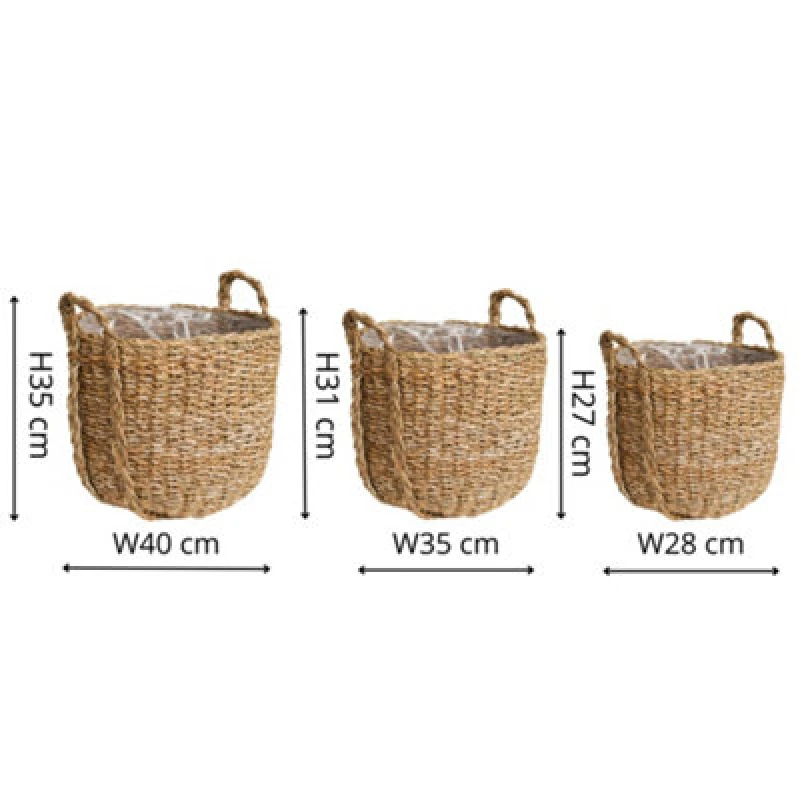 Image of Set of 3 Tenno Seagrass & Reed Plant Pots