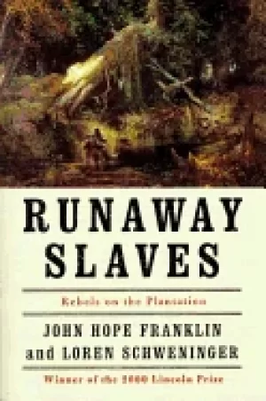 Image of runaway slaves rebels on the plantation franklin john hope and schweninger
