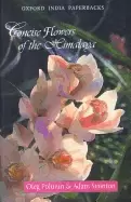 Image of concise flowers of the himalaya
