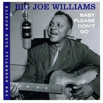 Image of Big Joe Williams - Baby Please Don't Go CD