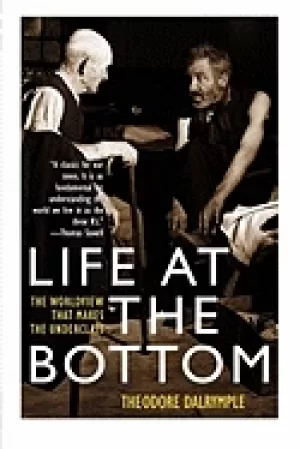 Image of life at the bottom the worldview that makes the underclass