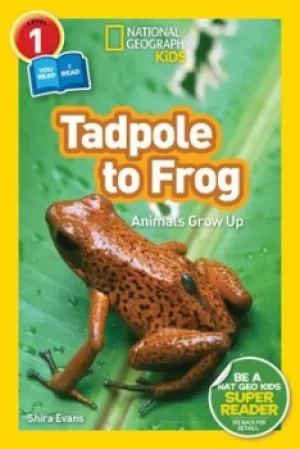 Image of Tadpole to frog by Shira Evans