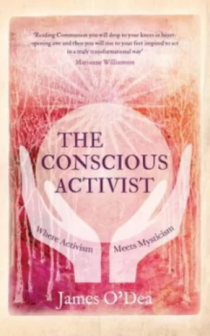 Image of The conscious activist by James O'Dea