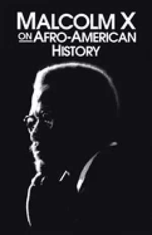 Image of malcolm x on afro american history