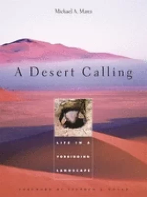 Image of desert calling life in a forbidding landscape