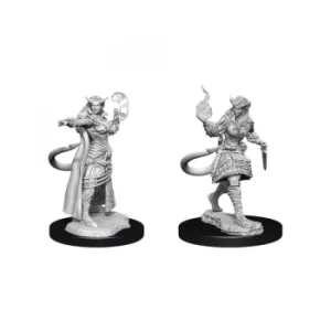 Image of D&D Nolzur's Marvelous Unpainted Miniatures (W15) Tiefling Sorcerer Female