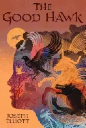 Image of good hawk shadow skye book one