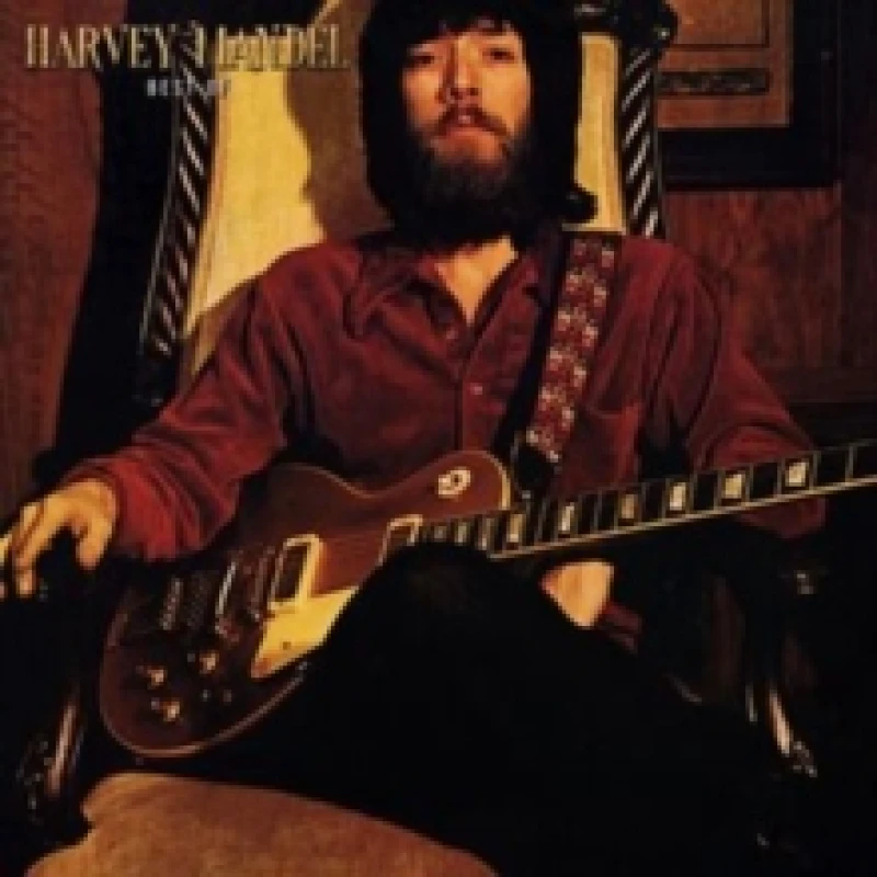 Image of Best of Harvey Mandel Vinyl