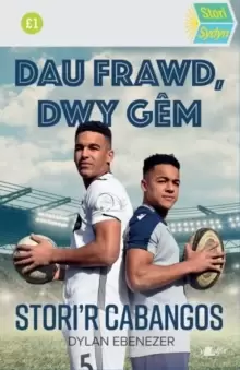 Image of Stori Sydyn: Dau Frawd, Dwy Gem: Stori'r Cabangos