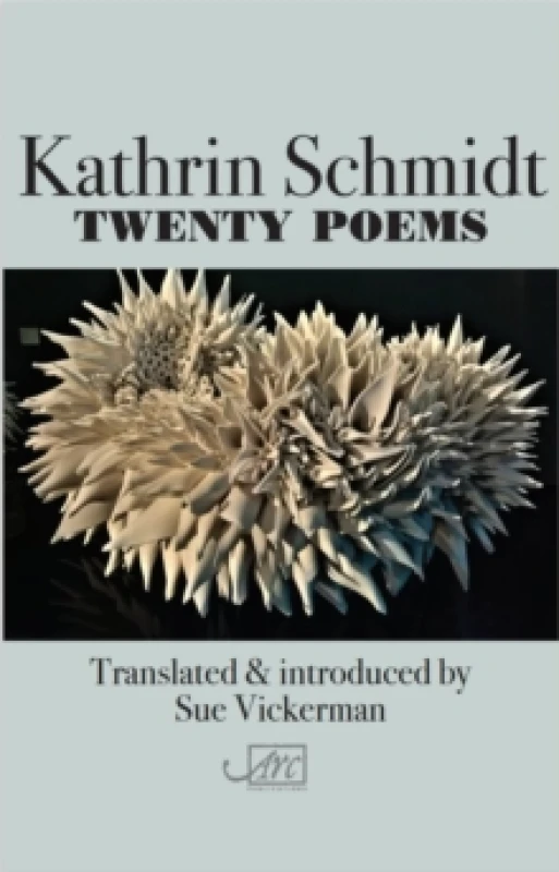 Image of Twenty Poems Paperback / softback