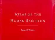 Image of atlas of the human skeleton