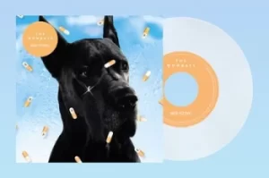 Image of Bee-sting by The Wombats Vinyl Album