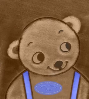 Image of Tiny Bear Bible by Sally Lloyd Jones