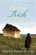 Image of house on an irish hillside