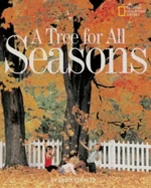 Image of tree for all seasons
