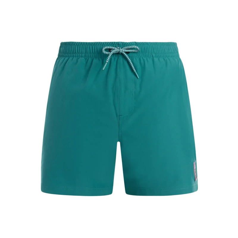 Image of Protest Swim shorts Protest Jayden Vert Male S