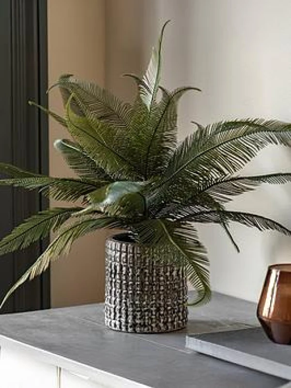 Image of Crossland Grove Wide Fern in Concrete Pot, Grey 5056693592549