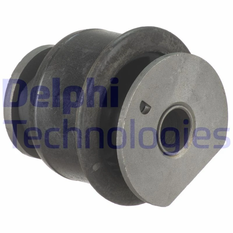 Image of DELPHI Trailing arm / Suspension arm bush DELPHI TD1825W