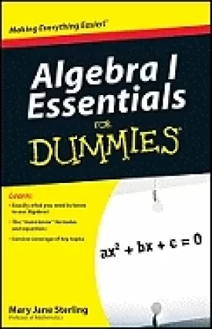Image of algebra i essentials for dummies