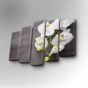 Image of 5PUC-031 Multicolor Decorative Canvas Painting (5 Pieces)