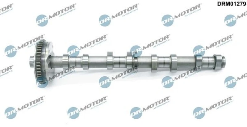 Image of DR.MOTOR AUTOMOTIVE Camshaft DR.MOTOR AUTOMOTIVE DRM01279