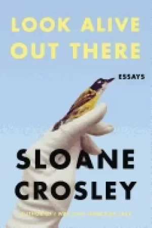 Image of look alive out there essays