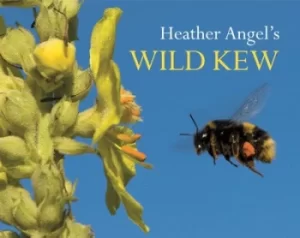 Image of Heather Angels wild Kew by Heather Angel