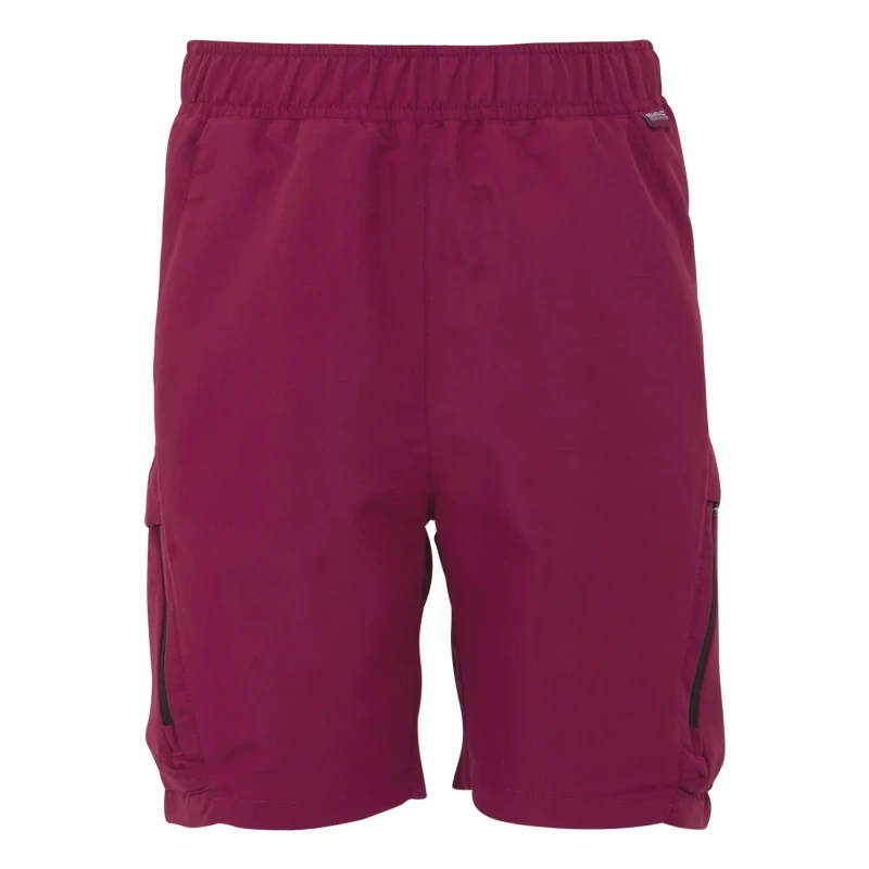 Image of Children's hiking shorts Regatta Sorcer III Violet Unisex 15/16 ans