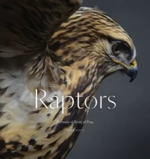 Image of Raptors by Traer Scott