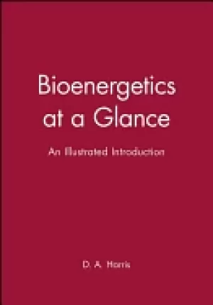 Image of bioenergetics at a glance an illustrated introduction