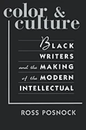 Image of color and culture Black writers and the making of the modern intellectual